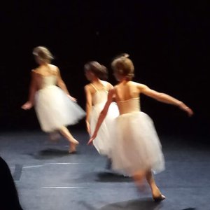 balletstudiowesterdans